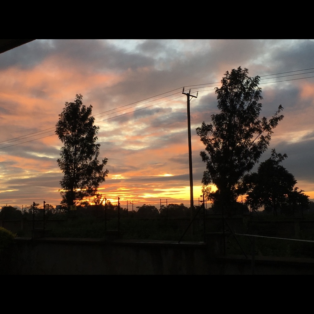 Meet your Posher, Kristin